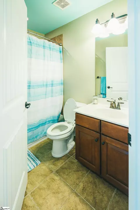 Bath - 201 Gracefield Ct, Greer, SC 29650 photo 7 of 7