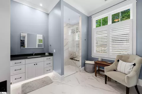 Bath - 321 Wake Robin Dr, Sunset, SC 29685 photo 4 of 10