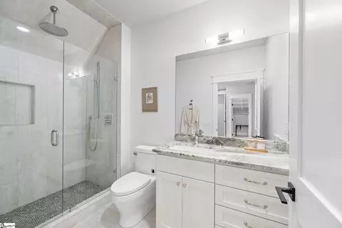 Bath - 321 Wake Robin Dr, Sunset, SC 29685 photo 6 of 10
