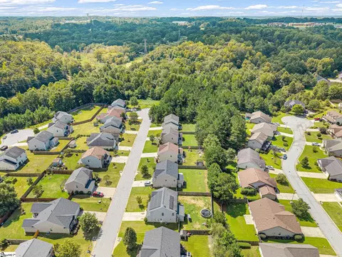View/Area - 132 Hamilton Ct, Easley, SC 29642 photo 5 of 6