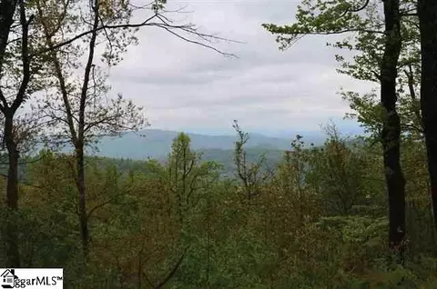 122 Panther Mountain Rd, Zirconia, NC 28790