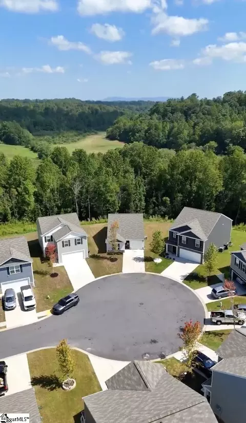 View/Area - 239 Mable Leaf Ln, Easley, SC 29640 photo 1 of 2