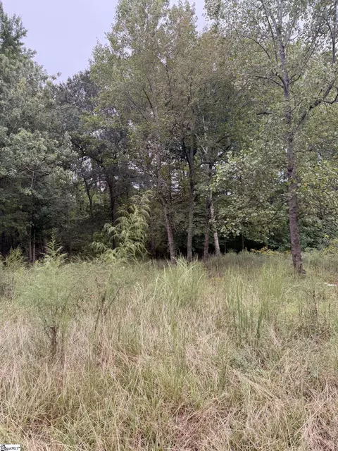 440 Fallings Waters Way, Greer, SC 29651 photo 5