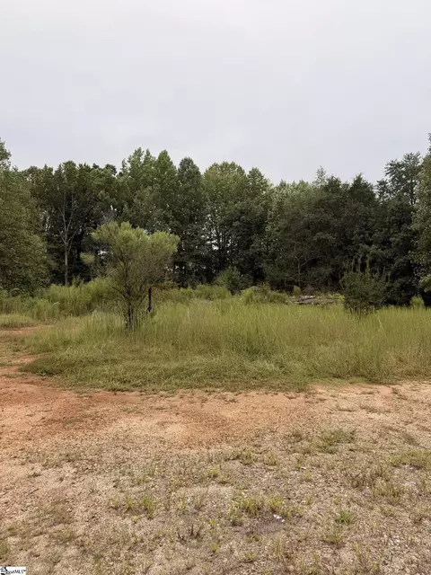 440 Fallings Waters Way, Greer, SC 29651 photo 4