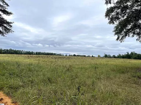 00 Melrosa Ln, Springfield, SC 29146 photo 19