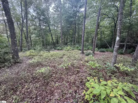 S46 Cliffs Falls Parkway, Salem, SC 29676