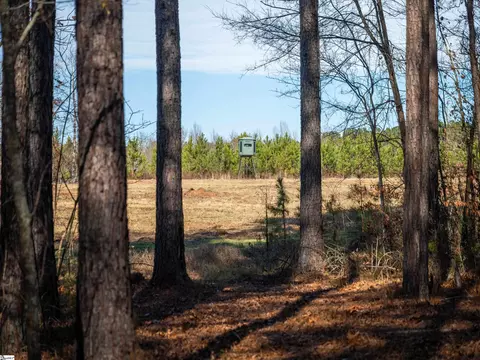 010 Mill Pine Rd, Liberty, SC 29657 photo 26