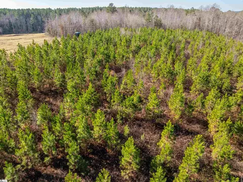 010 Mill Pine Rd, Liberty, SC 29657 photo 35