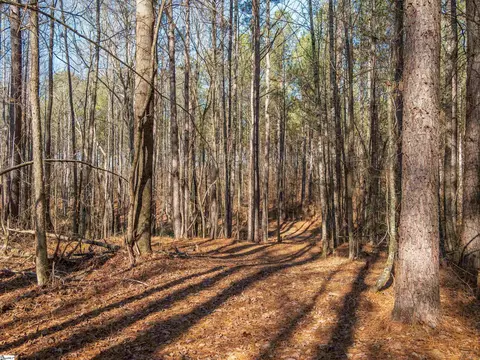 010 Mill Pine Rd, Liberty, SC 29657 photo 23