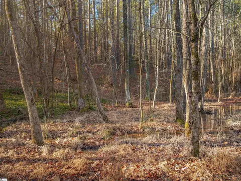 010 Mill Pine Rd, Liberty, SC 29657 photo 32