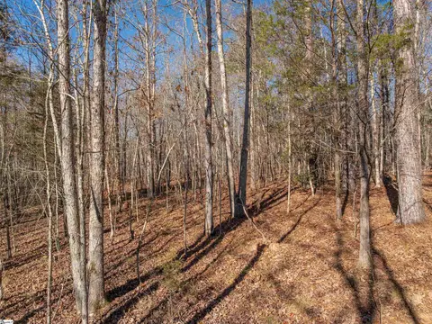 010 Mill Pine Rd, Liberty, SC 29657 photo 43