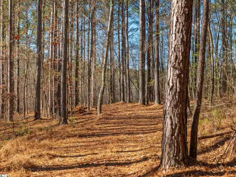 010 Mill Pine Rd, Liberty, SC 29657 photo 12