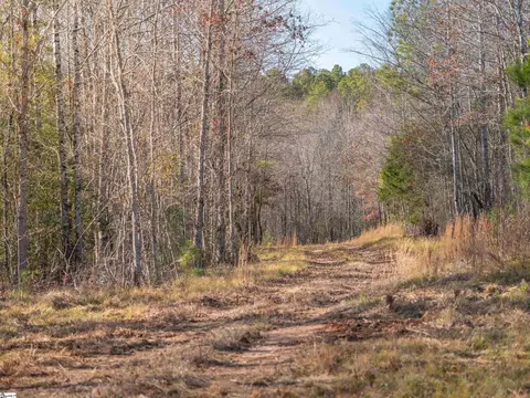 010 Mill Pine Rd, Liberty, SC 29657 photo 39