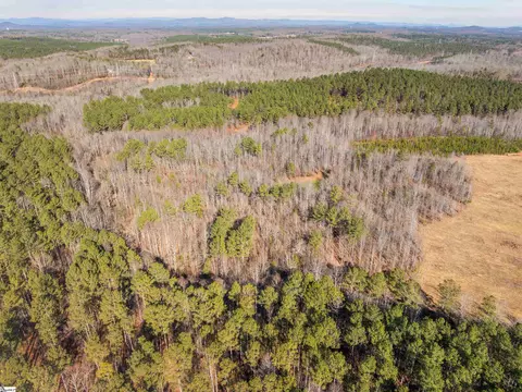 010 Mill Pine Rd, Liberty, SC 29657 photo 13