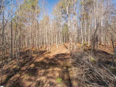 010 Mill Pine Rd, Liberty, SC 29657 photo 29