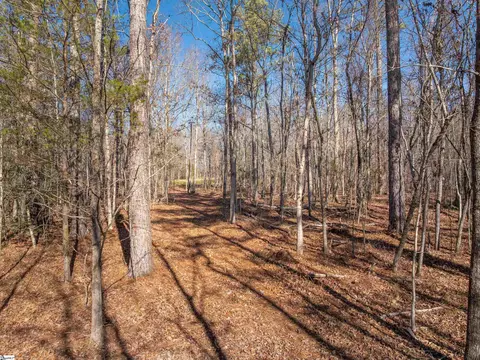 010 Mill Pine Rd, Liberty, SC 29657 photo 40