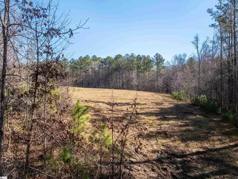 010 Mill Pine Rd, Liberty, SC 29657 photo 27