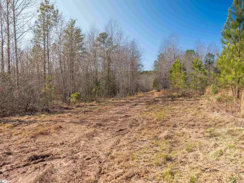 010 Mill Pine Rd, Liberty, SC 29657 photo 38
