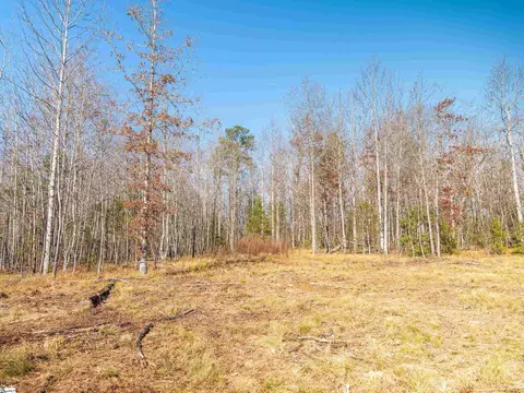 010 Mill Pine Rd, Liberty, SC 29657 photo 28