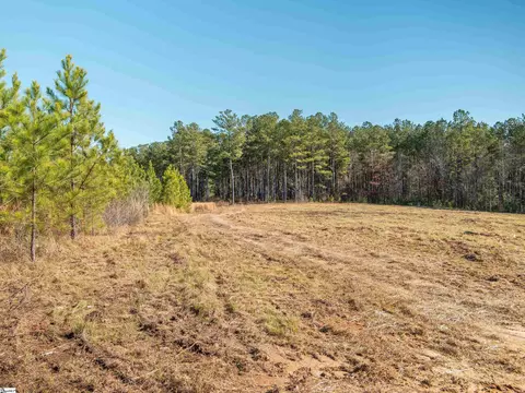 010 Mill Pine Rd, Liberty, SC 29657 photo 21