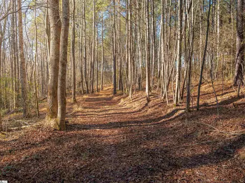 010 Mill Pine Rd, Liberty, SC 29657 photo 10