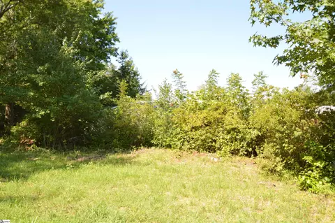 Exterior - 1183 Sandy Plains Rd, Tryon, NC 28782 photo 14 of 16