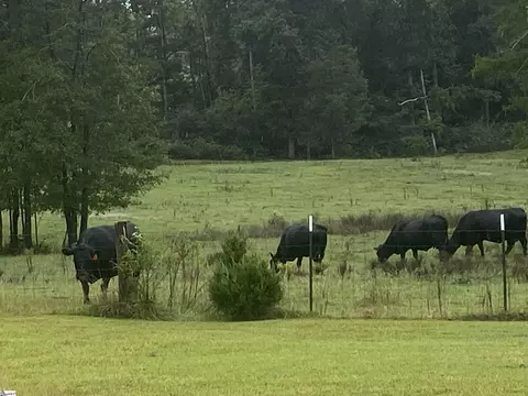 Other - 233 Bailey Rd, Buffalo, SC 29321 photo 4 of 7