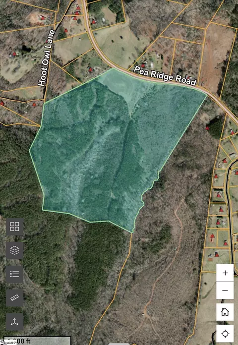000 Pea Ridge Rd, Mill Spring, NC 28756 photo 3