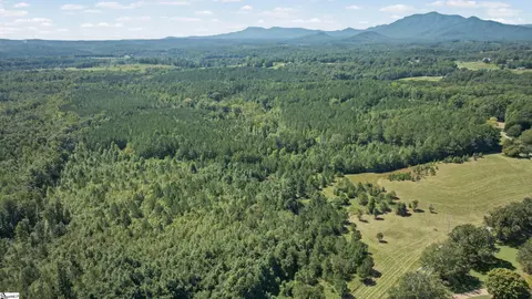000 Pea Ridge Rd, Mill Spring, NC 28756 photo 7