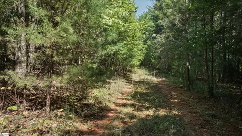 000 Pea Ridge Rd, Mill Spring, NC 28756 photo 18