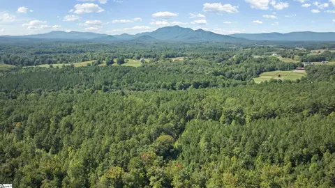 000 Pea Ridge Rd, Mill Spring, NC 28756 photo 17