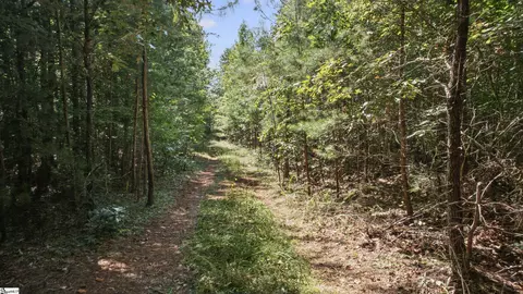 000 Pea Ridge Rd, Mill Spring, NC 28756 photo 14