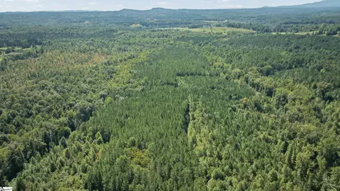 000 Pea Ridge Rd, Mill Spring, NC 28756 photo 8