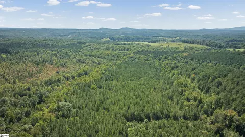 000 Pea Ridge Rd, Mill Spring, NC 28756 photo 20