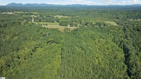 000 Pea Ridge Rd, Mill Spring, NC 28756 photo 10