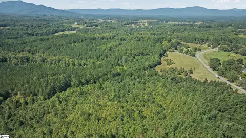 000 Pea Ridge Rd, Mill Spring, NC 28756 photo 5
