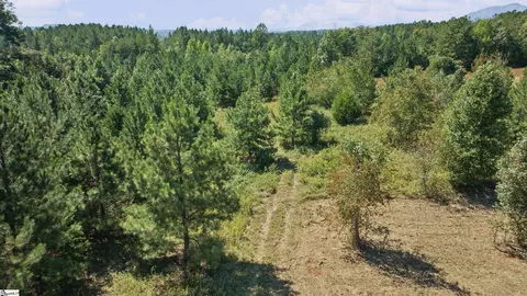 000 Pea Ridge Rd, Mill Spring, NC 28756 photo 13