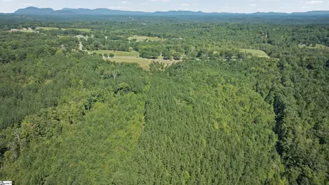 000 Pea Ridge Rd, Mill Spring, NC 28756 photo 12