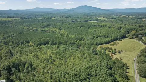 000 Pea Ridge Rd, Mill Spring, NC 28756 photo 6
