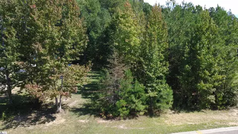 111 Irish Moss Dr, Williamston, SC 29697 photo 4