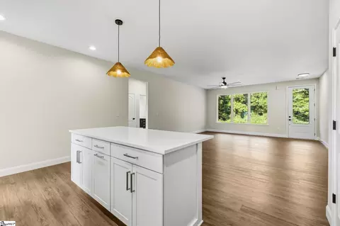 Living - 264 River St, Duncan, SC 29334 photo 5 of 5