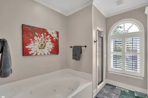 Bath - 1 Doeskin Hill Ln, Greer, SC 29650 photo 2 of 5