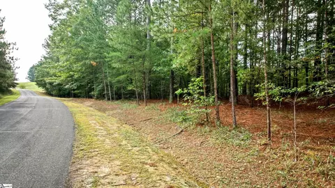 River Park Lane, Mill Spring, NC 28756 photo 6