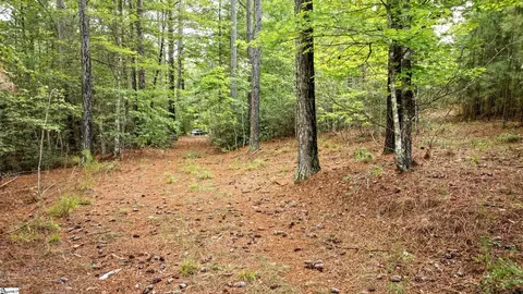 River Park Lane, Mill Spring, NC 28756 photo 9