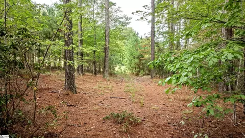 River Park Lane, Mill Spring, NC 28756 photo 14