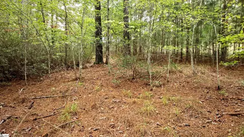 River Park Lane, Mill Spring, NC 28756 photo 10