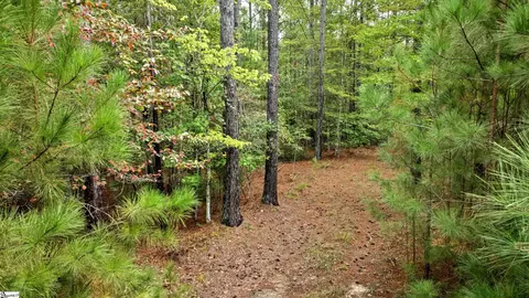 River Park Lane, Mill Spring, NC 28756 photo 8