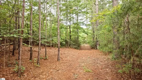 River Park Lane, Mill Spring, NC 28756 photo 17