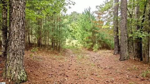 River Park Lane, Mill Spring, NC 28756 photo 13