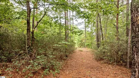 River Park Lane, Mill Spring, NC 28756 photo 16